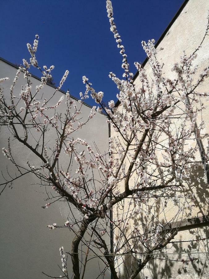 Gaestezimmer & Apartment Mayrhofer 伊布斯河畔魏德霍芬 外观 照片